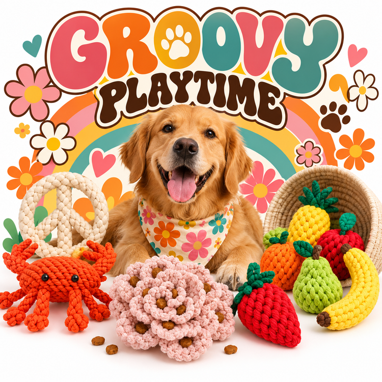 Groovy Playtime