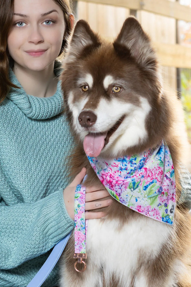 Hydrangea Haven Dog Bandana & Matching Keychain-1