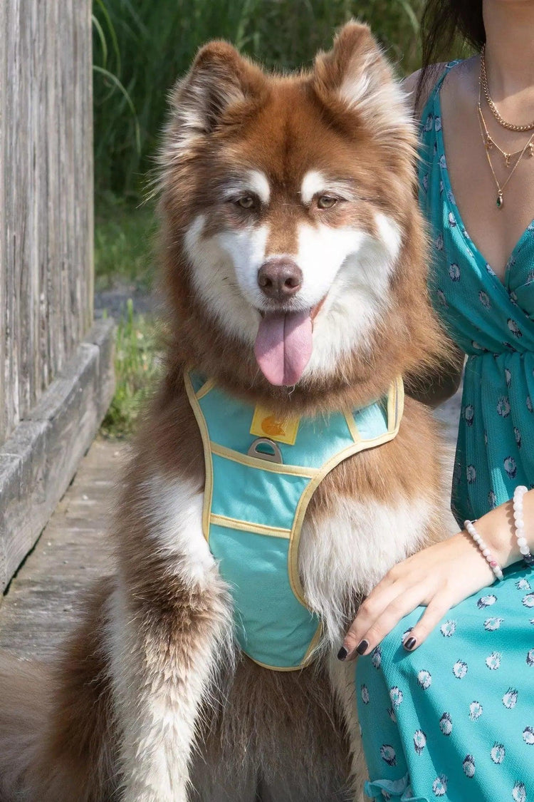 Good Vibes Tropical Harness