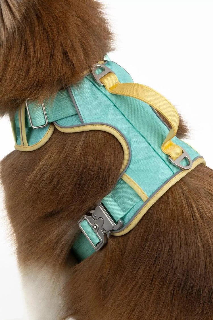 Good Vibes Tropical Harness