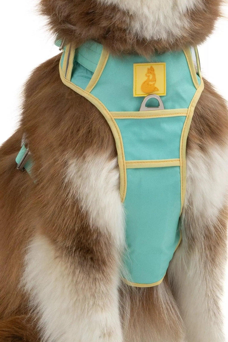 Good Vibes Tropical Harness