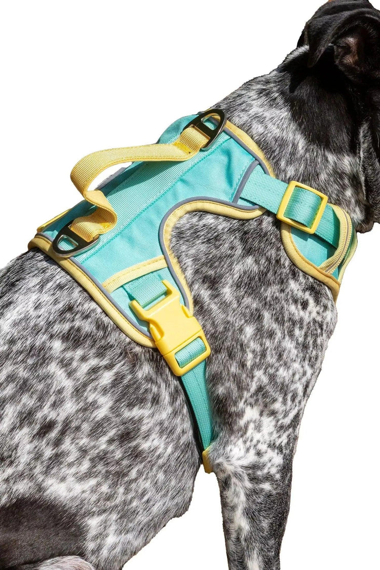 Good Vibes Tropical Harness