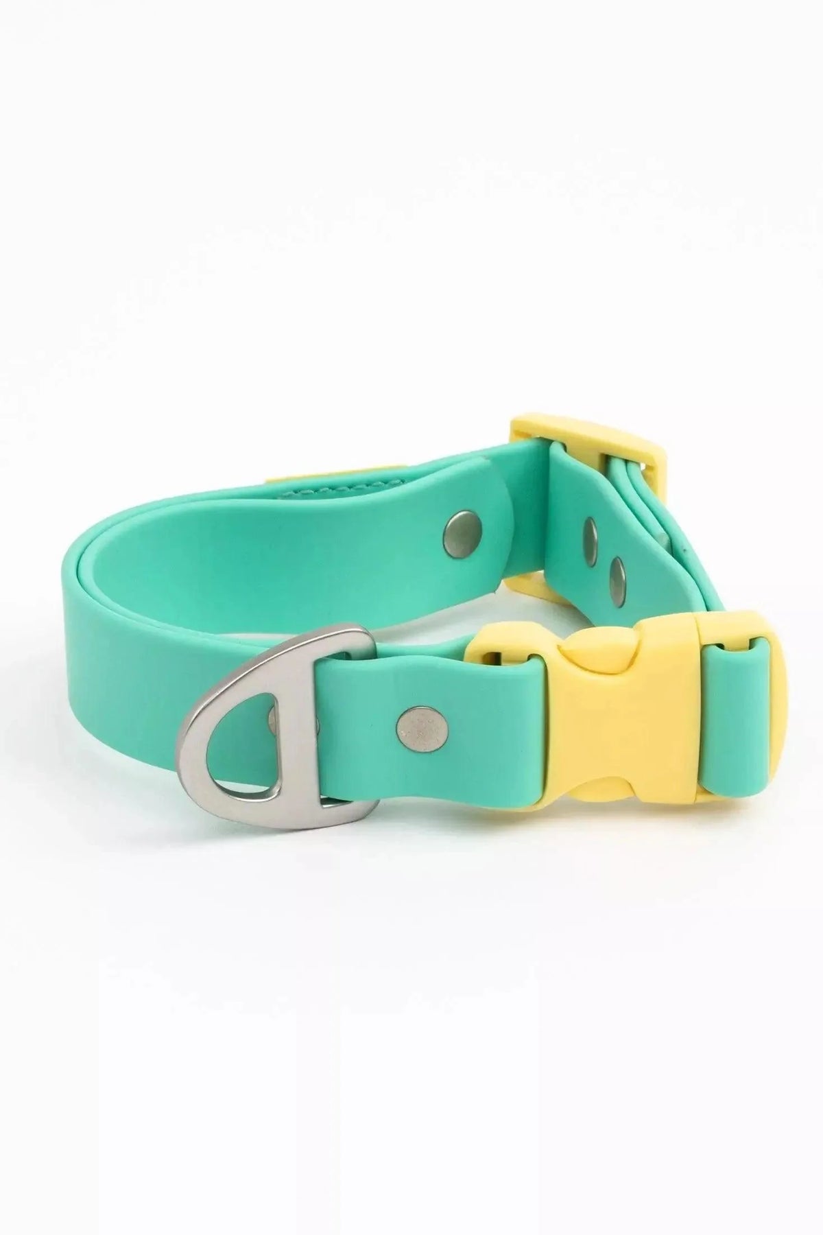 Good Vibes Tropical Dog Collar