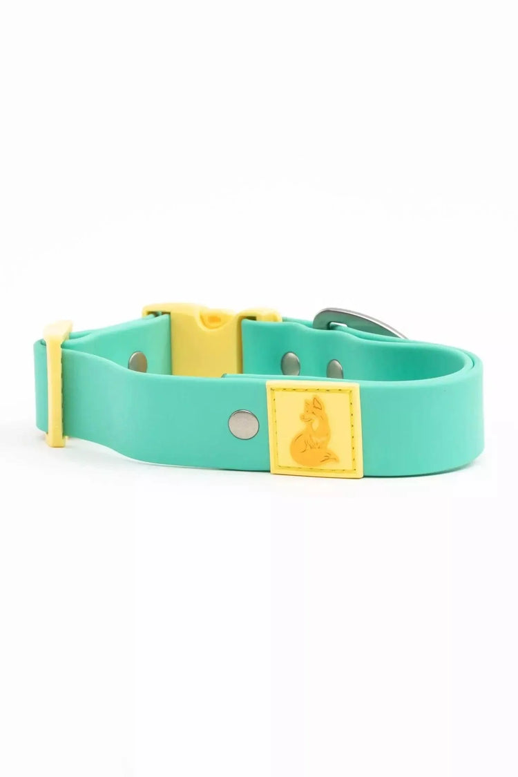 Good Vibes Tropical Dog Collar