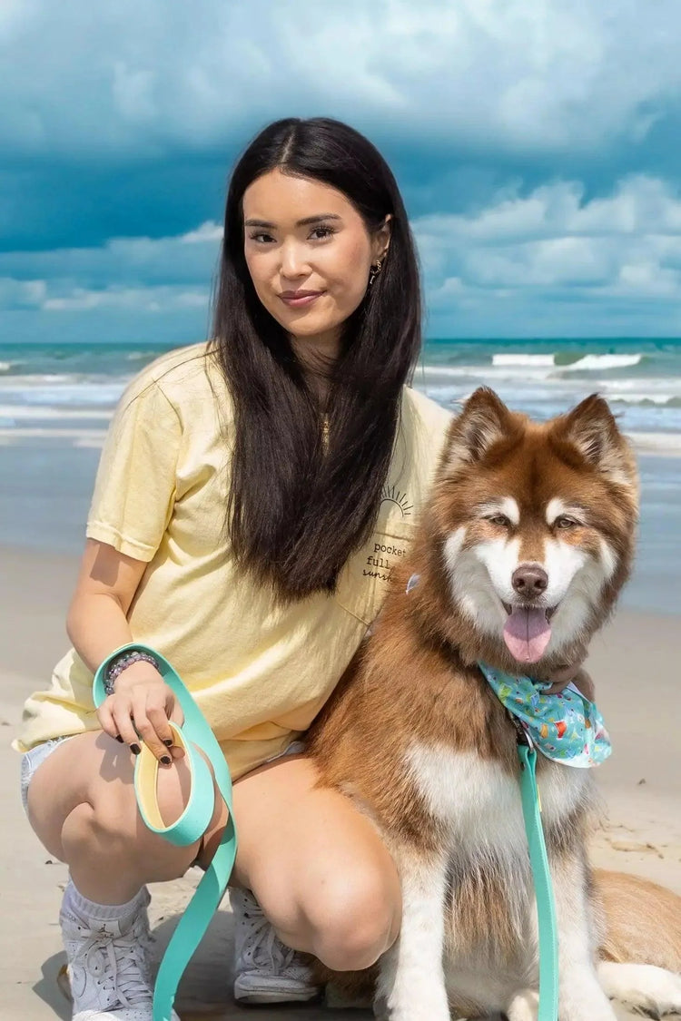 Good Vibes Tropical Dog Collar