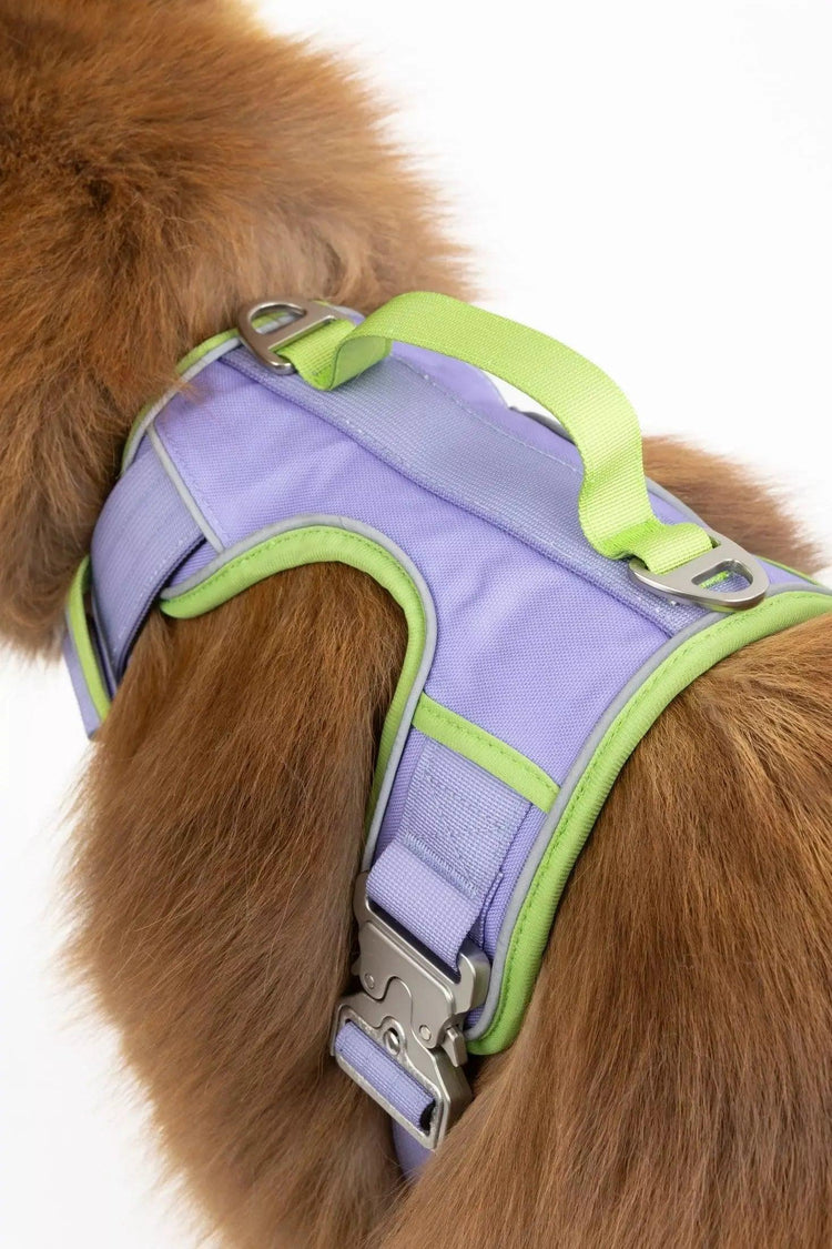Flower Power Lavender Harness