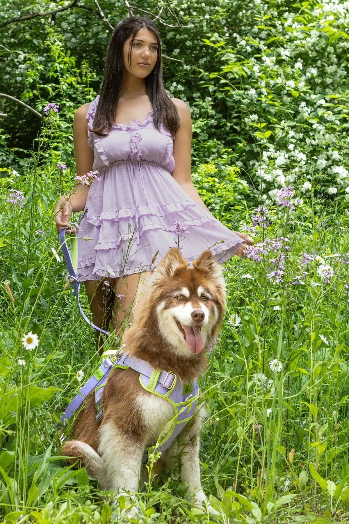 Flower Power Lavender Harness
