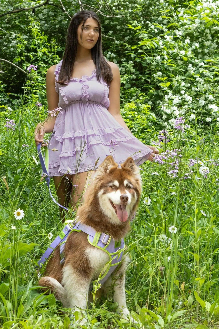 Flower Power Lavender Harness