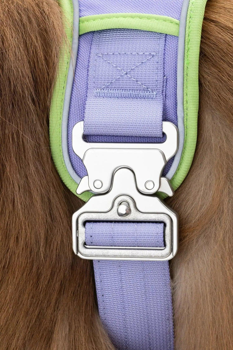 Flower Power Lavender Harness