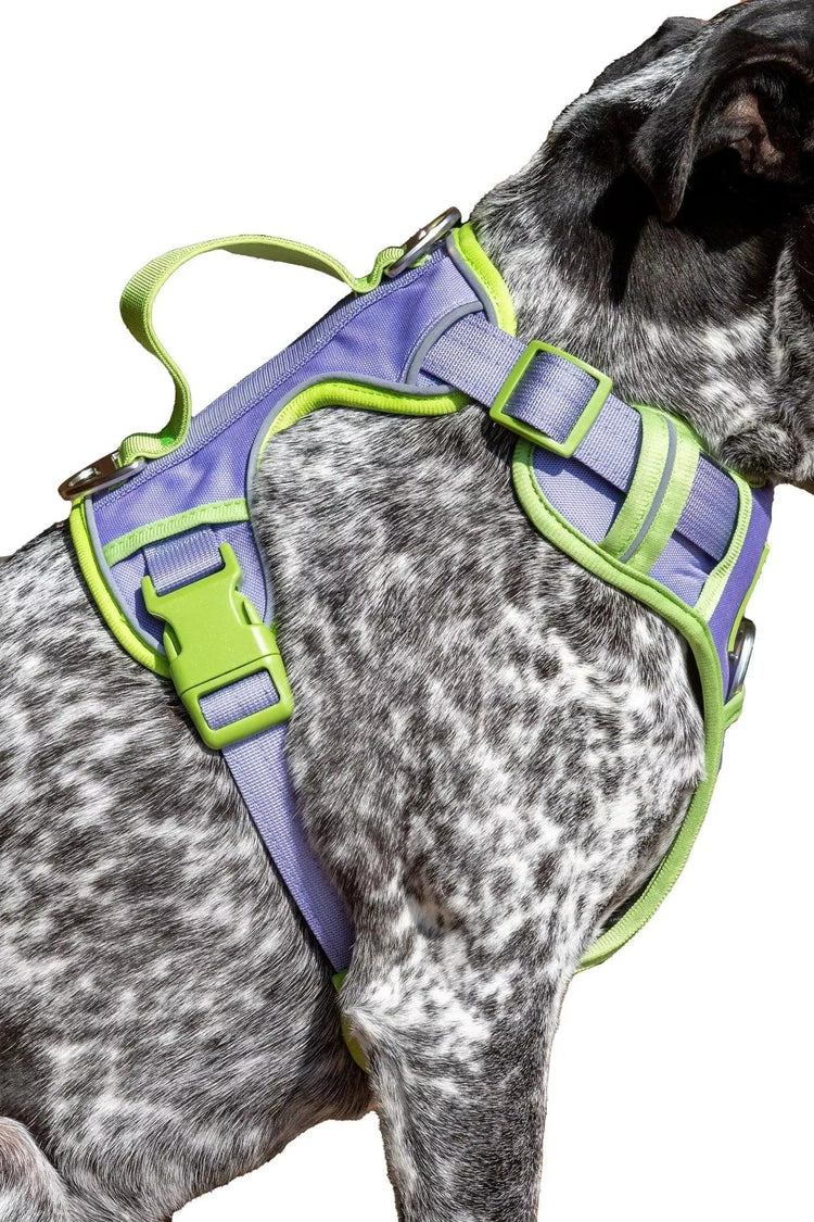 Flower Power Lavender Harness
