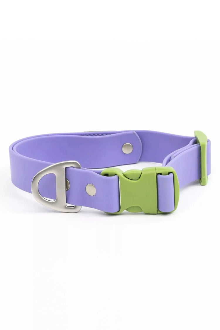 Flower Power Lavender Collar