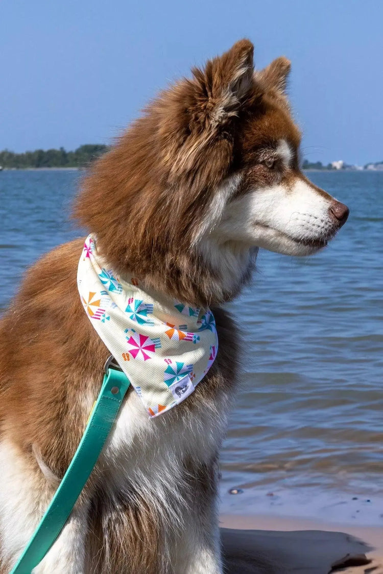 Flower Child Dog Bandana & Matching Keychain