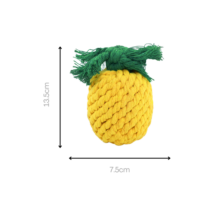 Fruity Delights Artisan Rope Toys-7