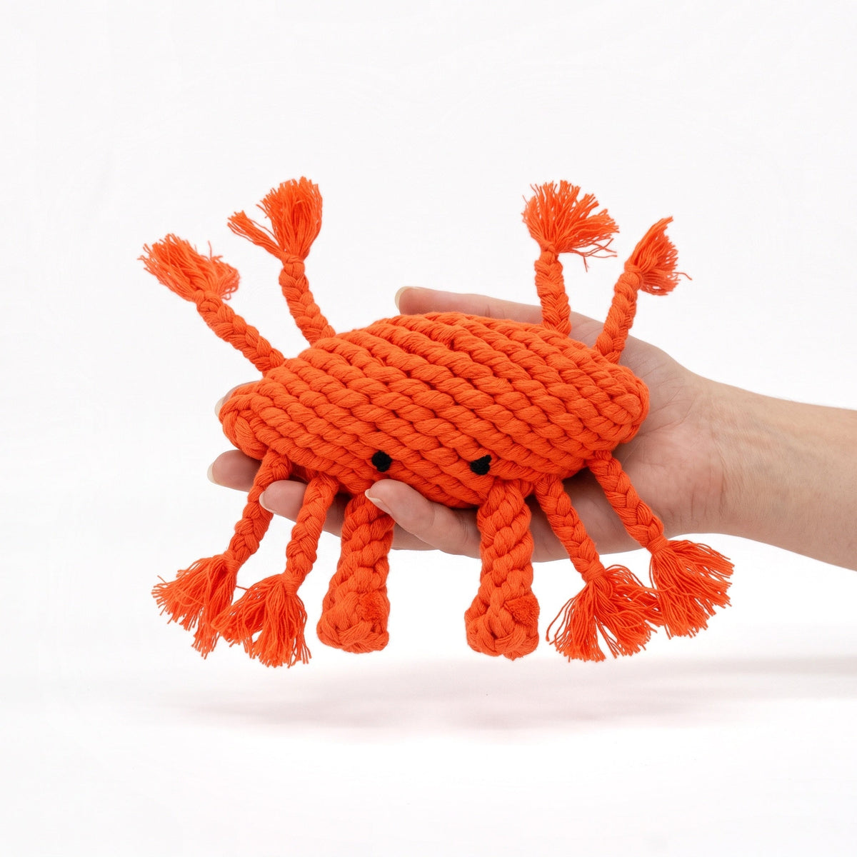 The Crab Dog Toy-4