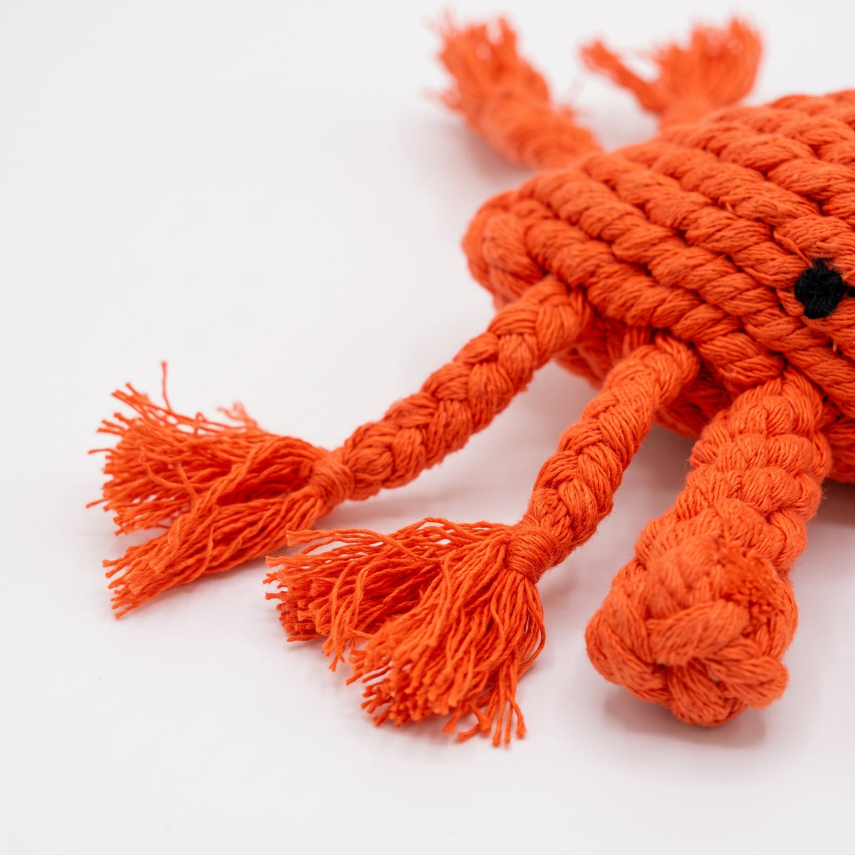 The Crab Dog Toy-2