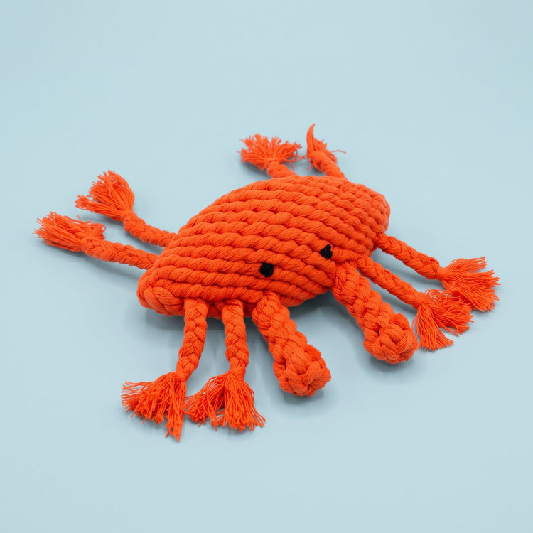 The Crab Dog Toy-1